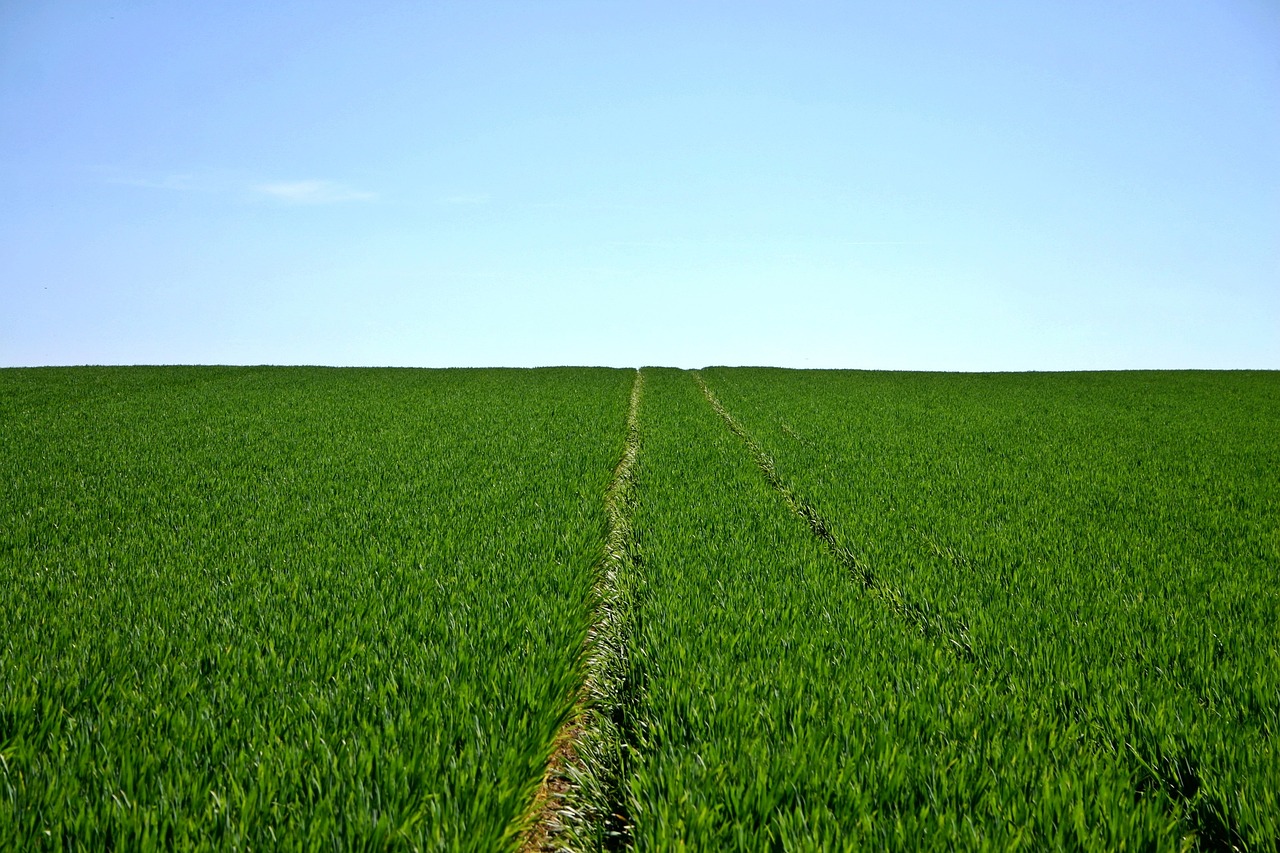 Essential Eco-Friendly Farm Survival Tips